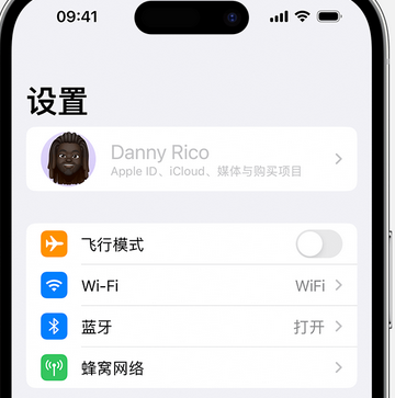 乐平appleID维修服务iPhone设置中Apple ID显示为灰色无法使用 