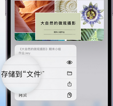 乐平apple维修中心分享iPhone文件应用中存储和找到下载文件