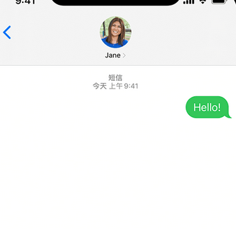 乐平apple维修iPhone上无法正常发送iMessage信息