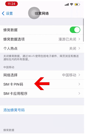 乐平苹果14维修网分享如何给iPhone14的SIM卡设置密码 