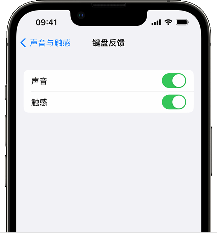 乐平苹果14维修店分享如何在 iPhone 14 机型中使用触感键盘 