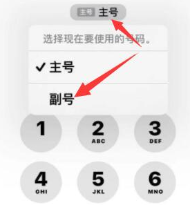 乐平苹果14维修店分享iPhone 14 Pro Max使用副卡打电话的方法 