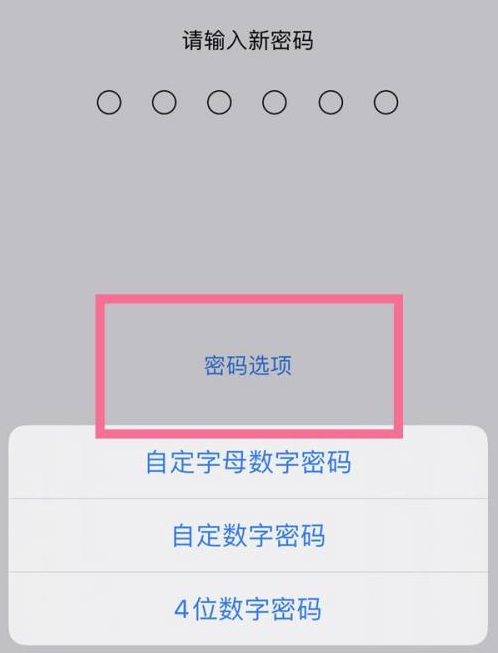 乐平苹果14维修分享iPhone 14plus设置密码的方法 