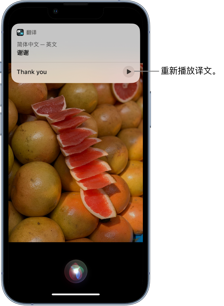 乐平苹果14维修分享 iPhone 14 机型中使用 Siri：了解 Siri 能帮你做什么 