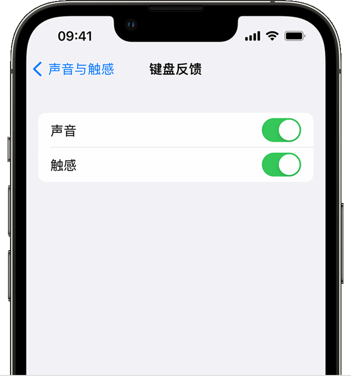 乐平苹果14维修分享iPhone 14 系列机型如何开启键盘声音或触感反馈 