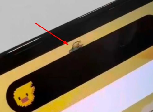 乐平苹果14维修分享iPhone 14 Pro Max灵动岛怎么养宠物 