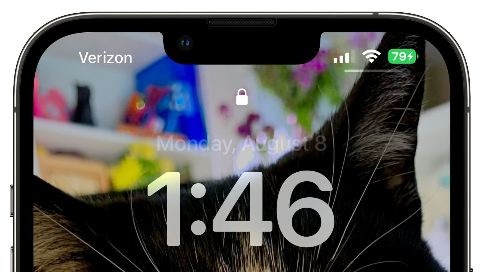 乐平苹果手机维修分享iOS 16 beta 5 支持状态栏显示电池百分比，如何开启？支持哪些机型 