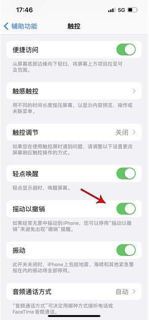 乐平苹果手机维修分享iPhone手机如何设置摇一摇删除文字 