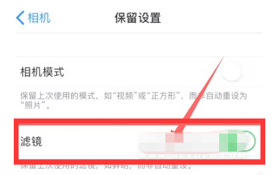 乐平苹果13维修分享iPhone13拍照有绿点是怎么回事 