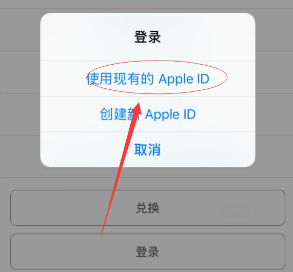 乐平苹果手机维修分享两台iPhone设备可以同时登录一个Apple ID吗 