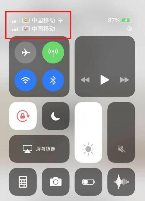 乐平苹果手机维修分享为 iPhone 12 双卡设置标签 