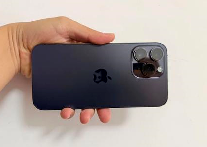 乐平苹果维修点分享iPhone 14 Pro Max黑屏少见故障盘点 